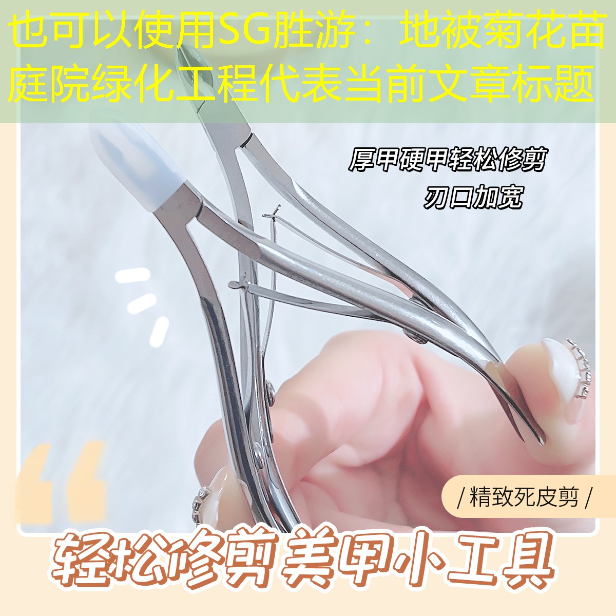 地被菊花苗庭院绿化工程 地被菊花苗庭院绿化工程